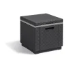 Allibert 40L Ice Cube