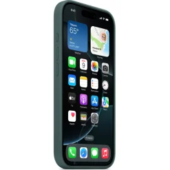 Apple Silicone Backcover MagSafe voor iPhone 16 Pro Max
