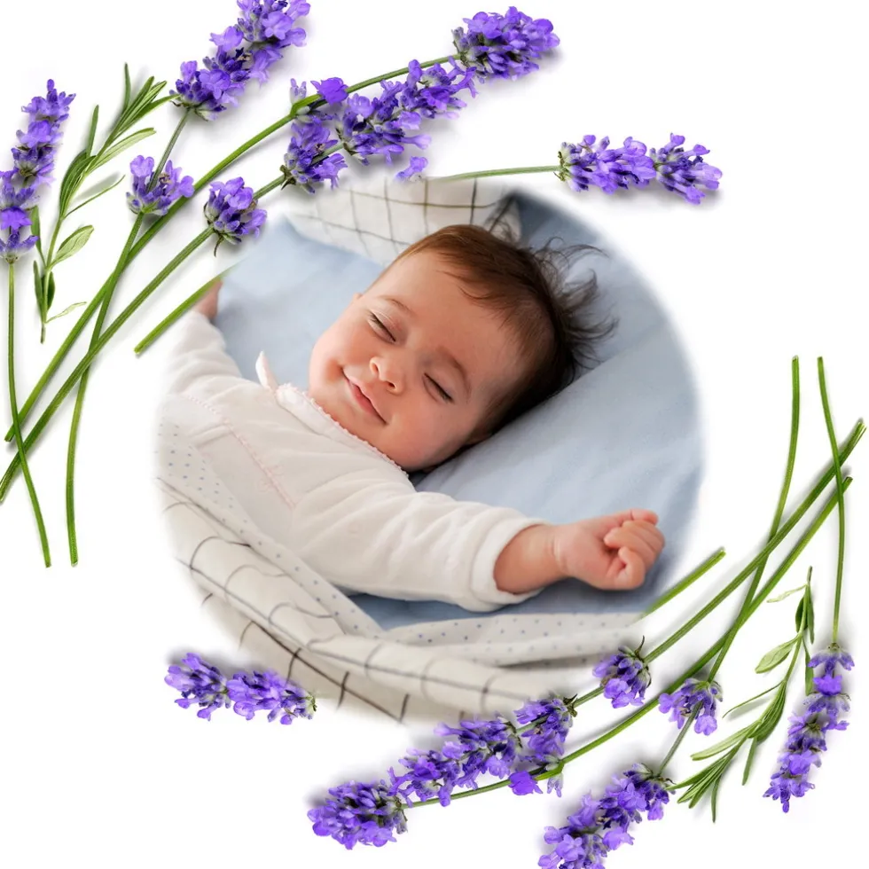 Baby Ono Cherry Grijs Lavendel Pittenzak