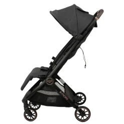 B-Micro Buggy