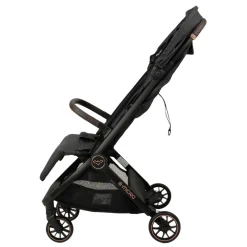 B-Micro Buggy