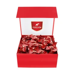 Côte d'Or Mini Bouchée luxe rode magneetdoos