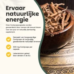 Cupplement Cordyceps Capsules 500 mg Biologisch