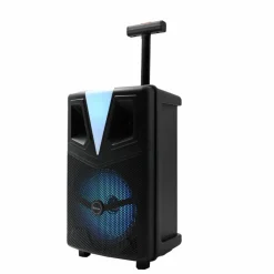 Denver TSP307 Bluetooth Partyspeaker met LED verlichting