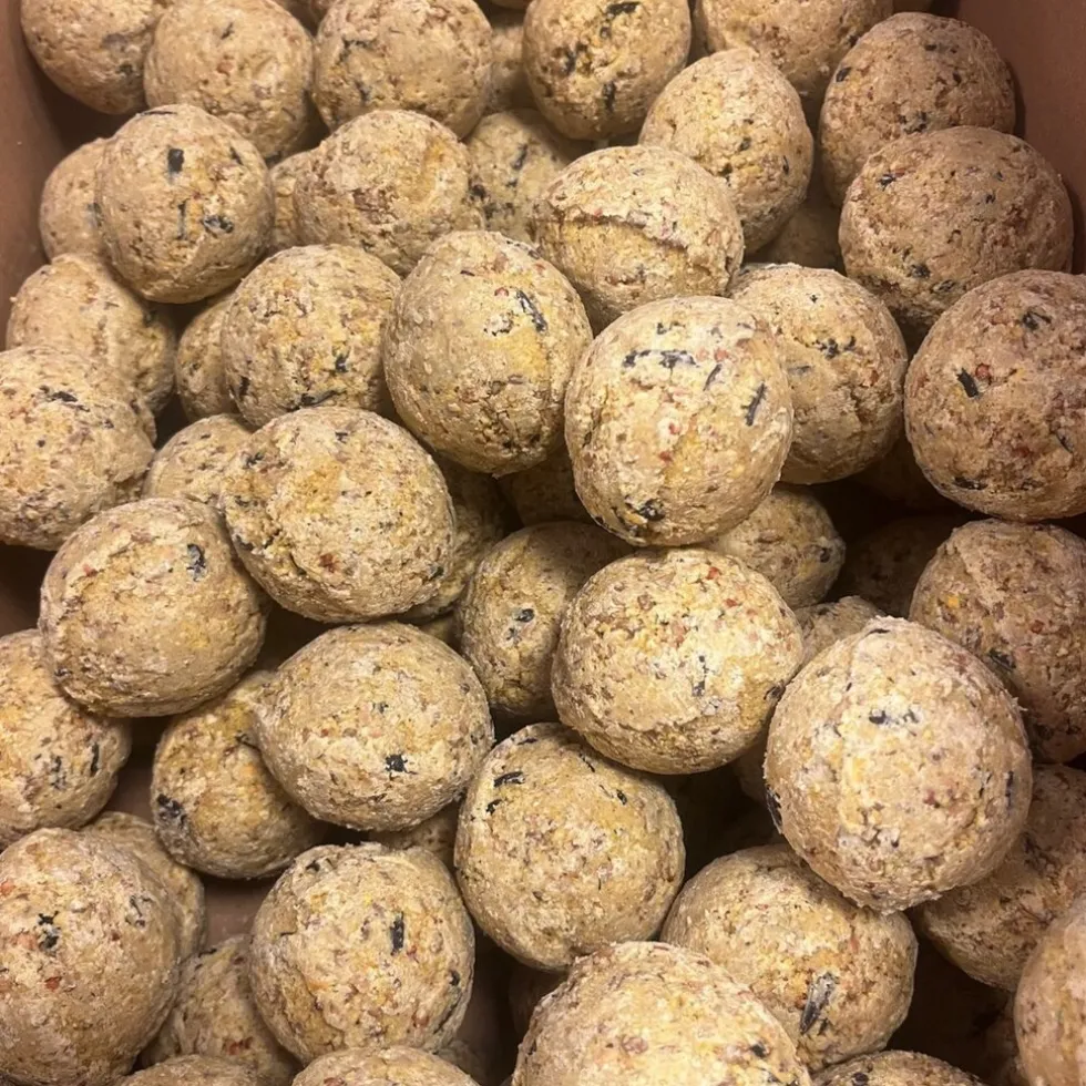 Famiflora mezenbollen zonder net