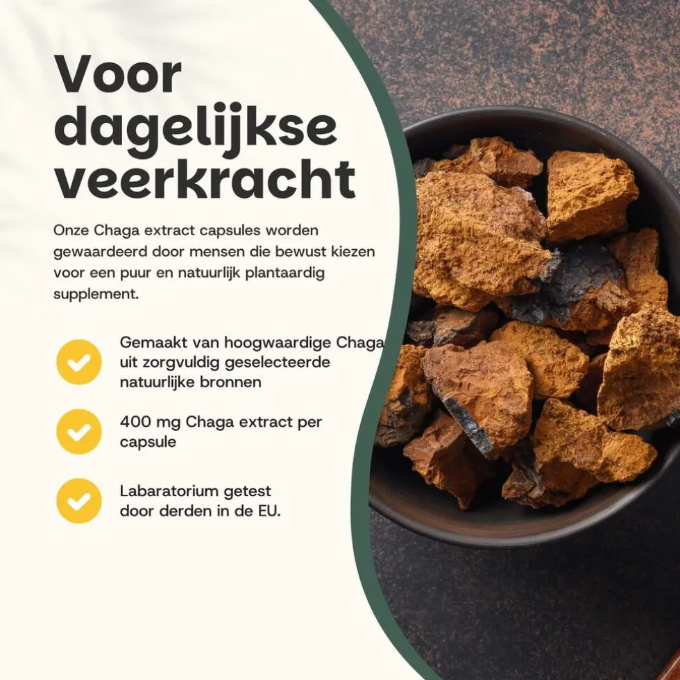 20% korting | Cupplement Chaga Extract Capsules 400mg