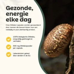 20% korting | Cupplement Shiitake Capsules 500 mg Biologisch