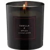 Kruidvat Vanille & Spice Geurkaars