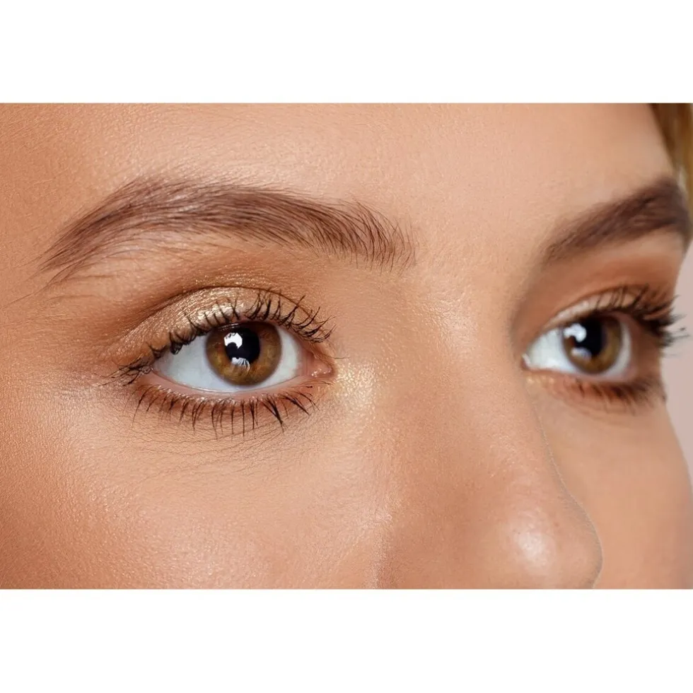 Kruidvat Shape Up Brow Lamination
