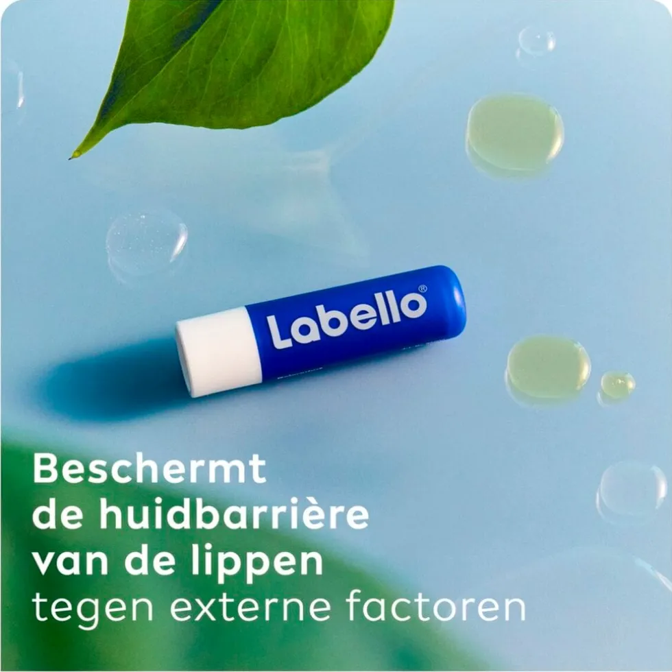 Labello Original Lippenbalsem