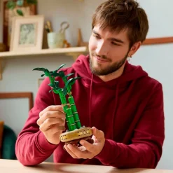 LEGO Botanicals 10344 Lucky Bamboo