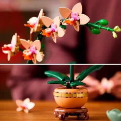 LEGO Botanicals 10343 Mini Orchidee