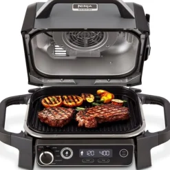 Ninja Woodfire 7-in-1 Elektrische Barbecue OG701EU