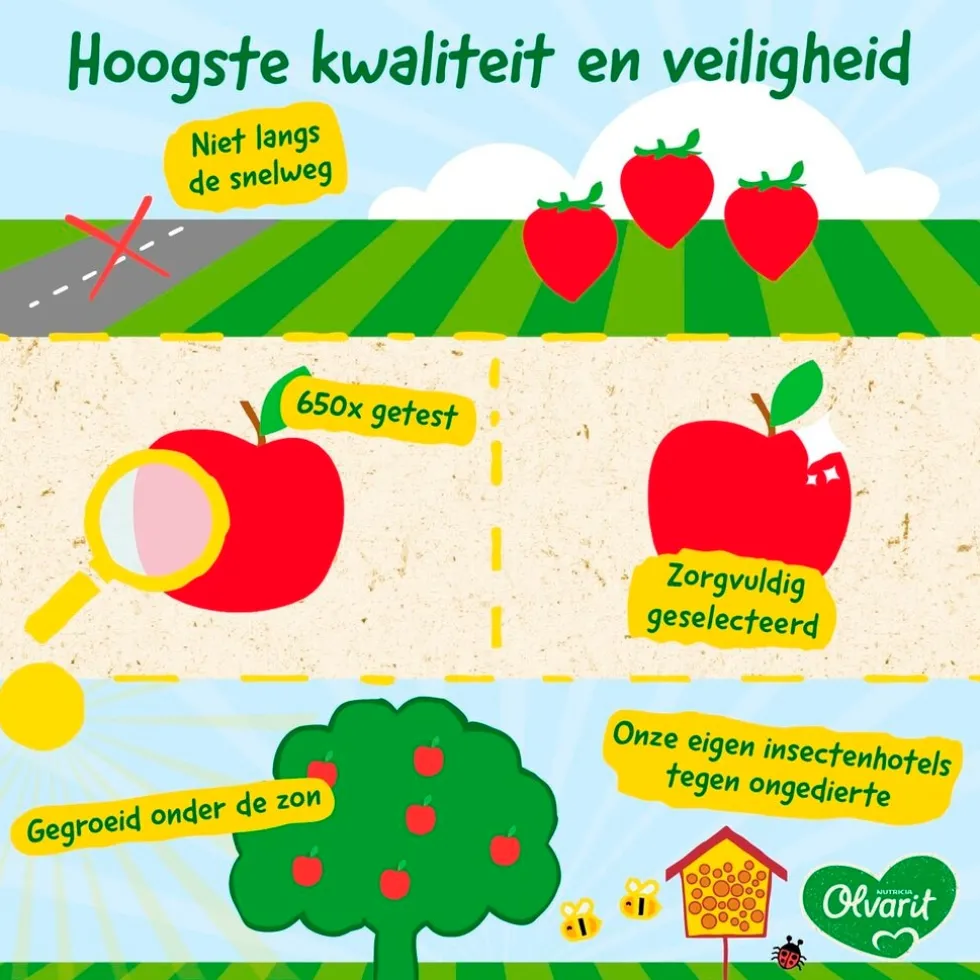 Olvarit 12+M Fruit Variatiemenu
