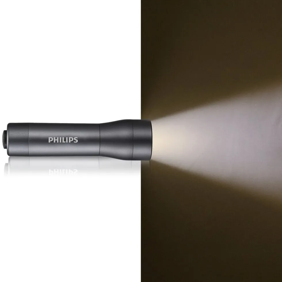 Philips Zaklamp SFL4000T/10