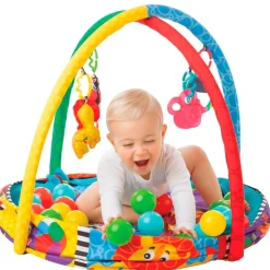 Playgro Ball Activity Nest