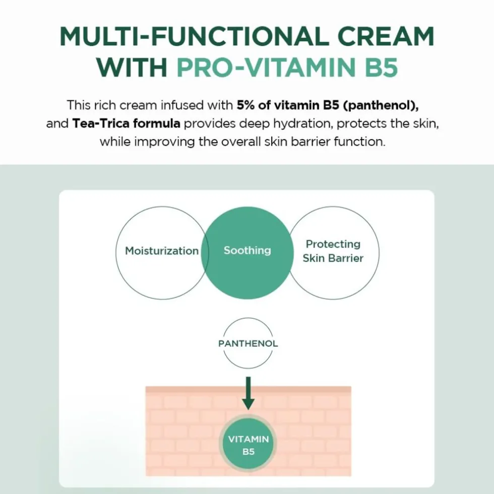 SKIN1004 Madagascar Centella Tea-Trica B5 Cream