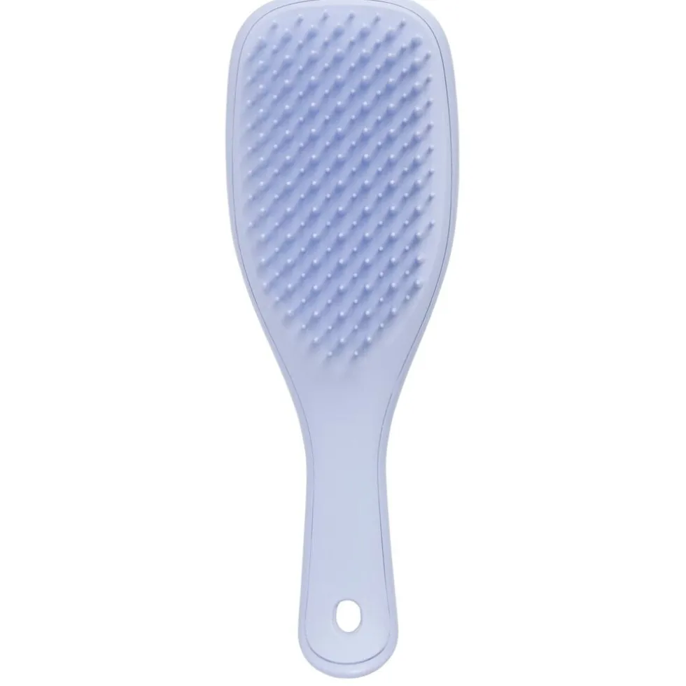 Tangle Teezer Detangler Mini Hairbrush