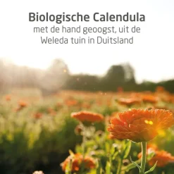 Weleda Baby Calendula Billenbalsem
