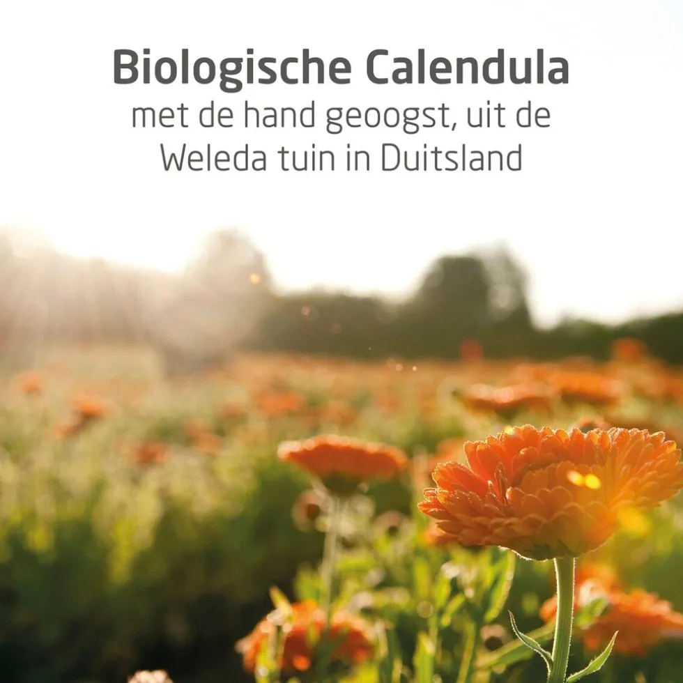 Weleda Baby Calendula Relax Crèmebad